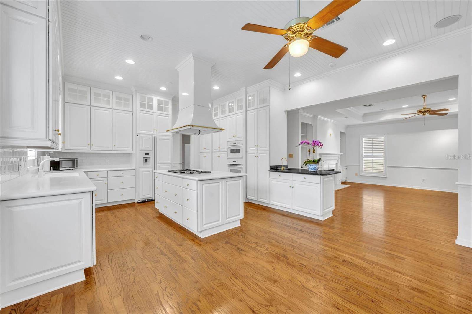 443 BELOIT AVE, WINTER PARK, FL, 32789
