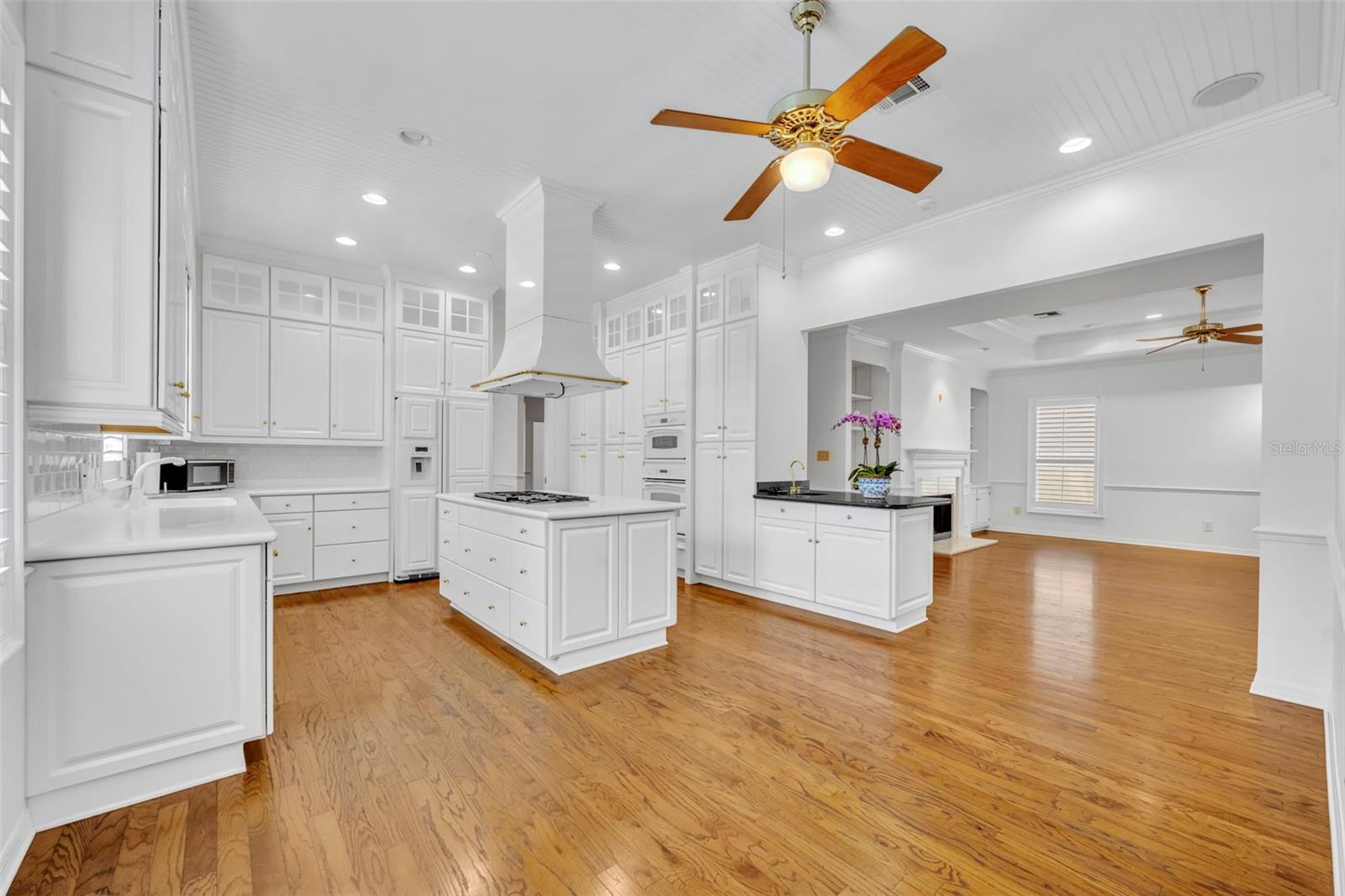 443 BELOIT AVE, WINTER PARK, FL, 32789