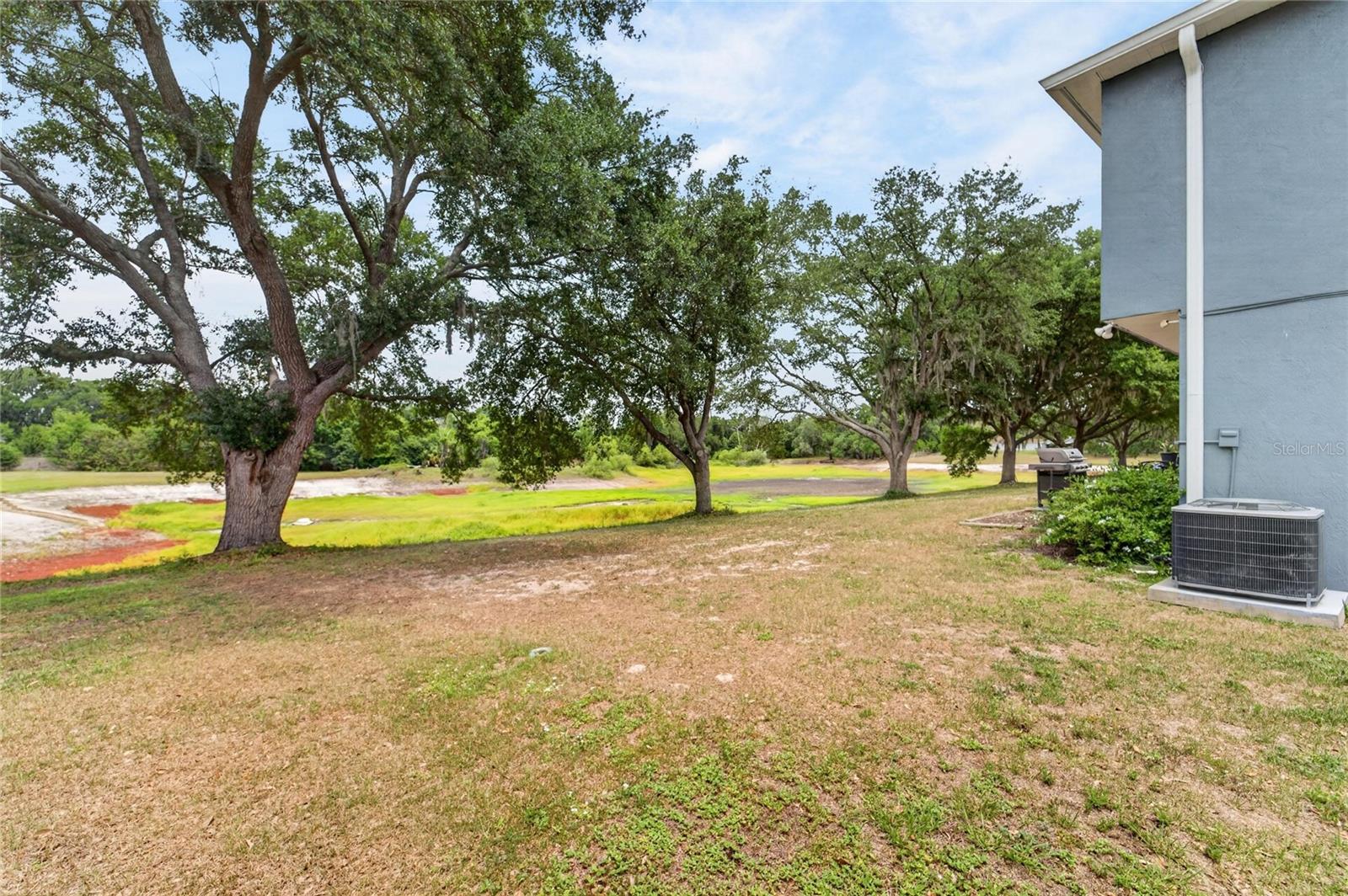1201 DRAGON HEAD DR, VALRICO, FL, 33594
