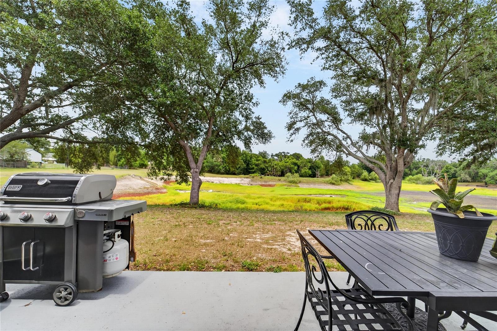 1201 DRAGON HEAD DR, VALRICO, FL, 33594