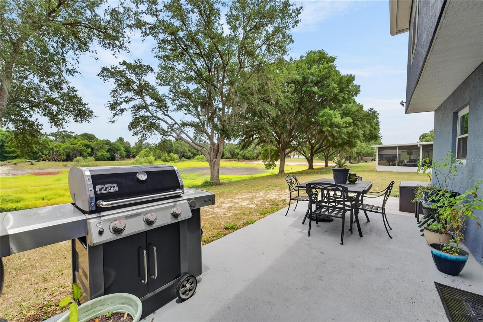 1201 DRAGON HEAD DR, VALRICO, FL, 33594