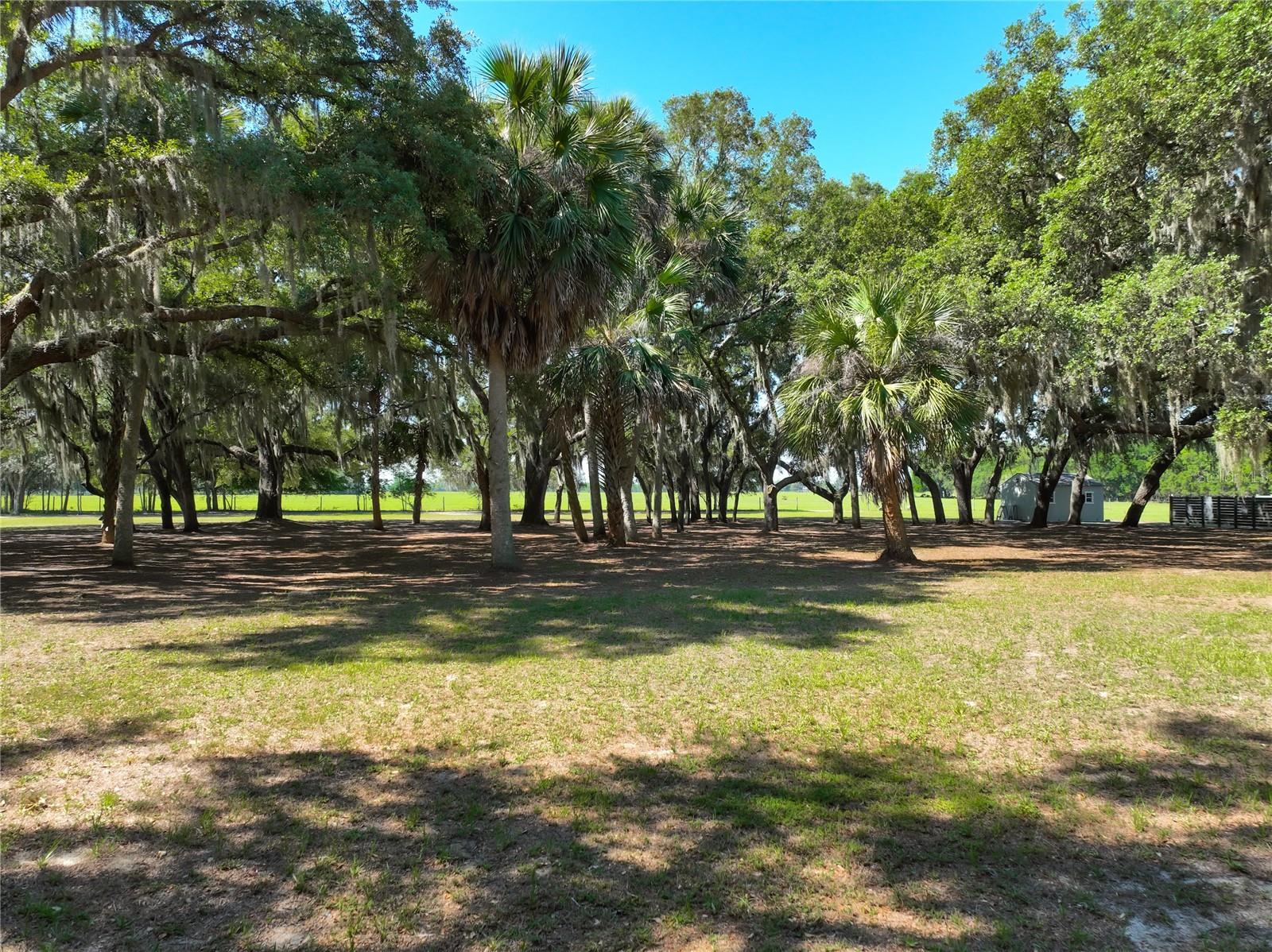 TROTTING HORSE LN, TAVARES, FL, 32778