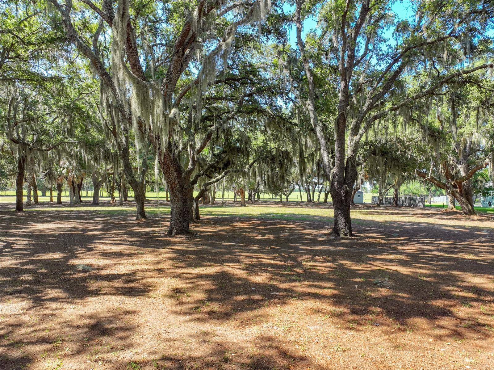 TROTTING HORSE LN, TAVARES, FL, 32778