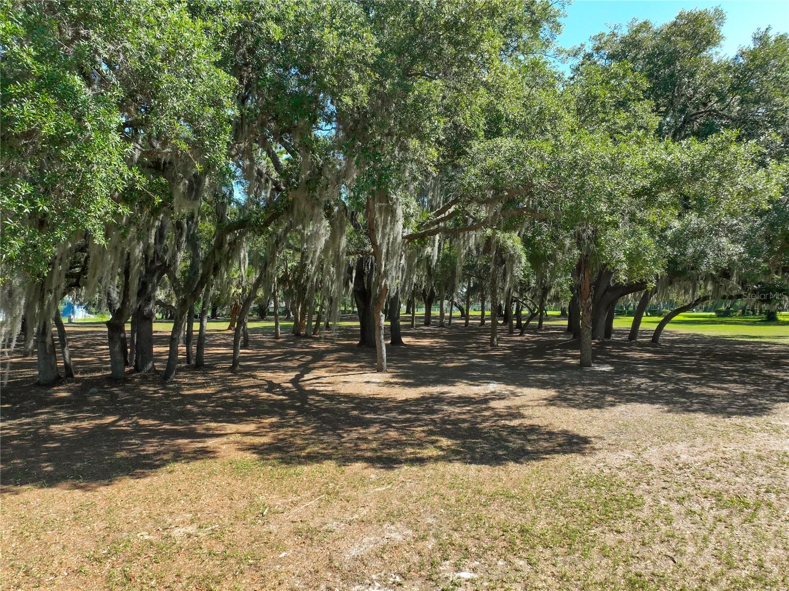 TROTTING HORSE LN, TAVARES, FL, 32778