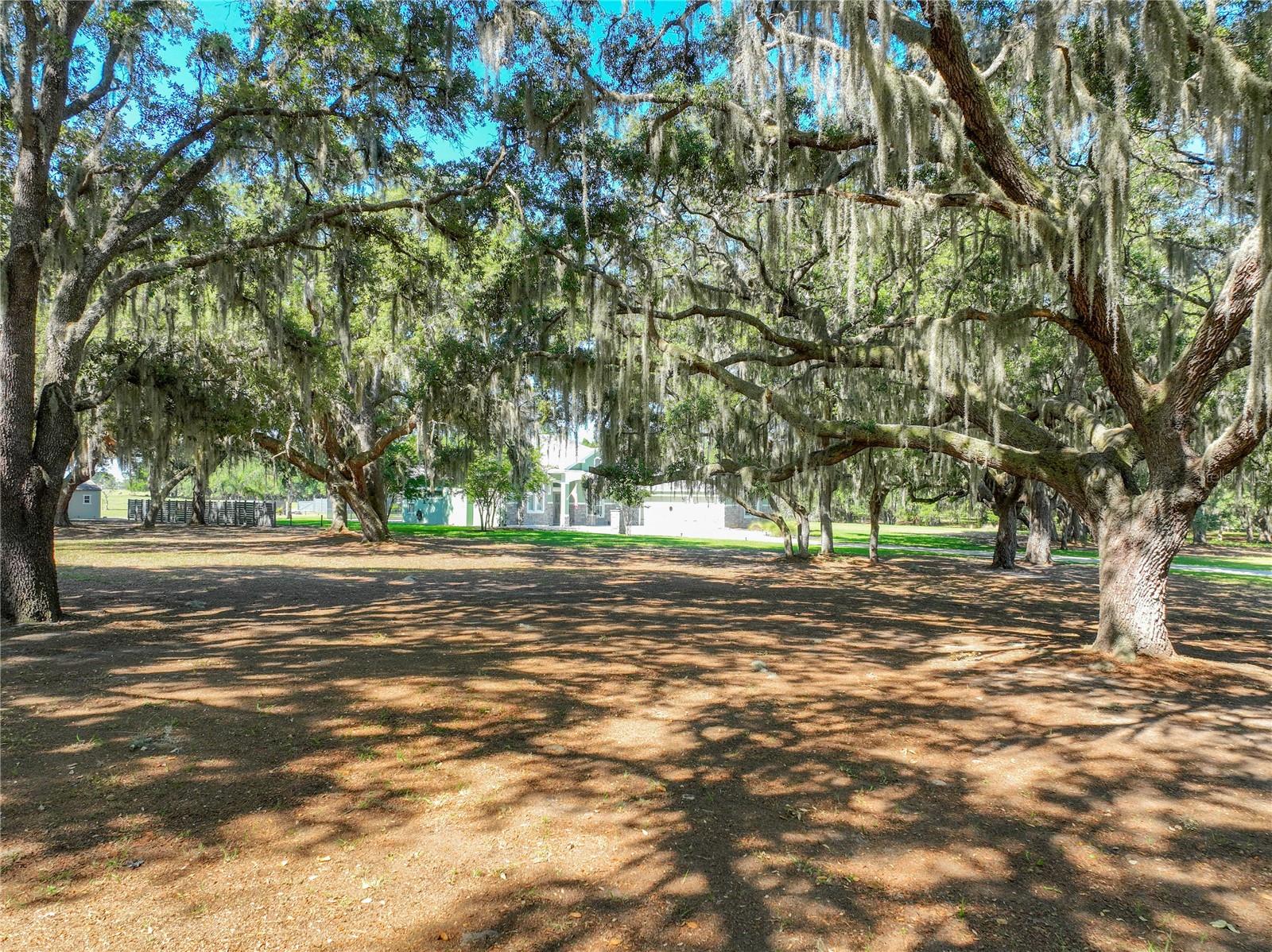 TROTTING HORSE LN, TAVARES, FL, 32778