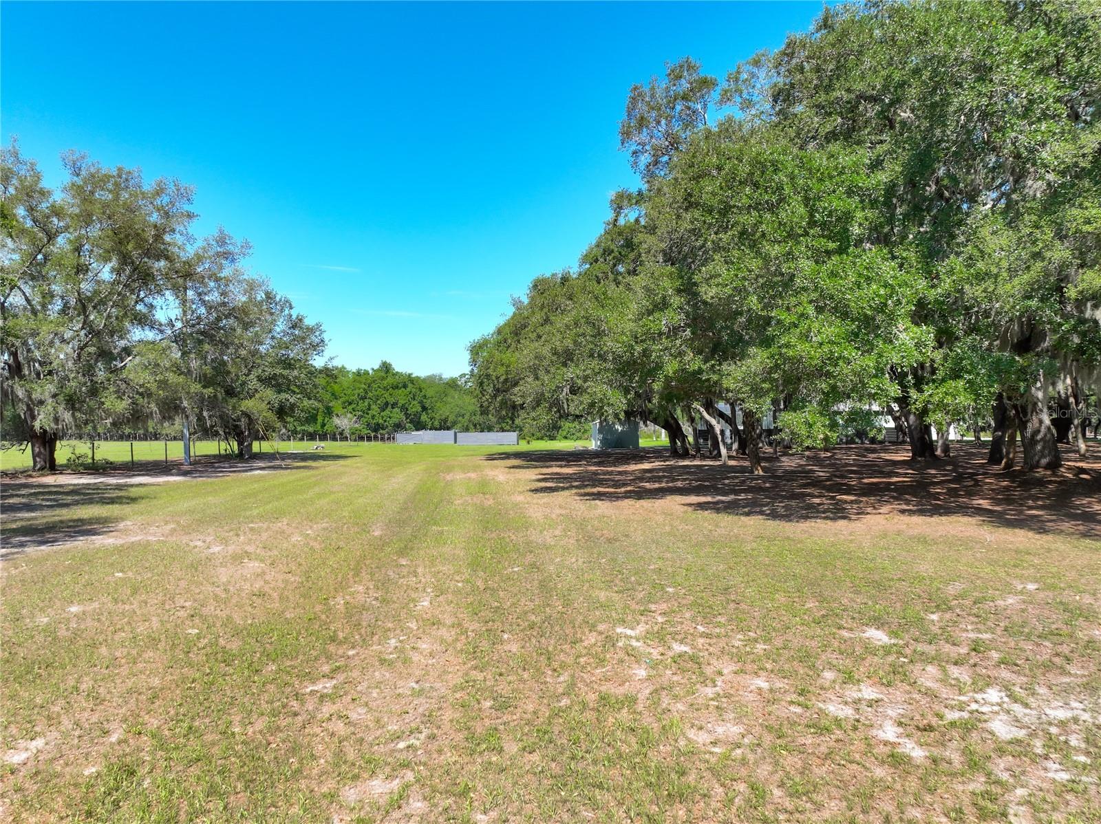 TROTTING HORSE LN, TAVARES, FL, 32778