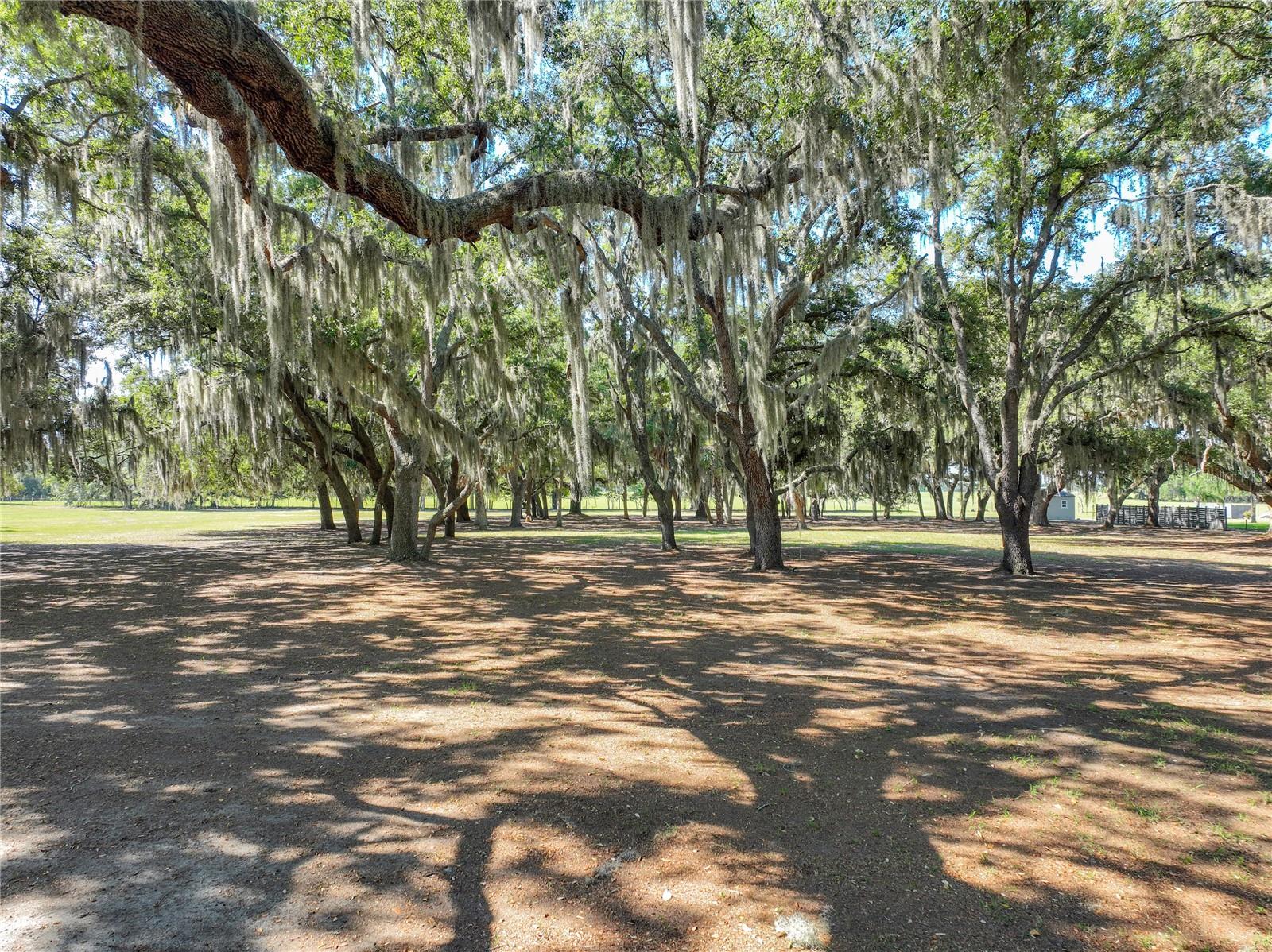 TROTTING HORSE LN, TAVARES, FL, 32778