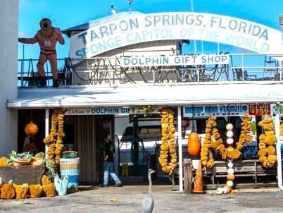 800 CHESAPEAKE DR #55, TARPON SPRINGS, FL, 34689