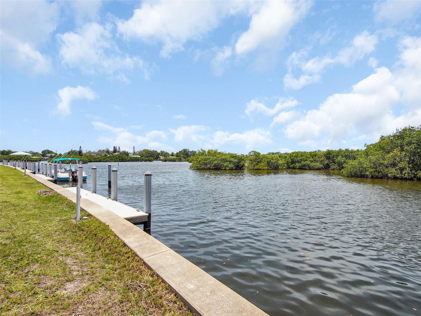 800 CHESAPEAKE DR #55, TARPON SPRINGS, FL, 34689