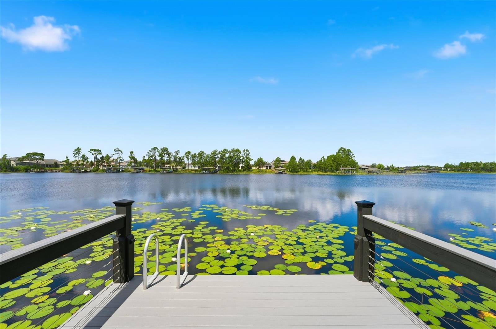 9110 MORGANA CT, WINTER GARDEN, FL, 34787