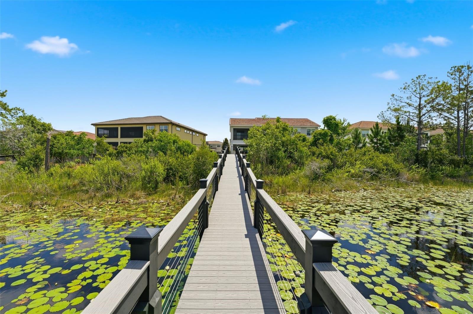 9110 MORGANA CT, WINTER GARDEN, FL, 34787