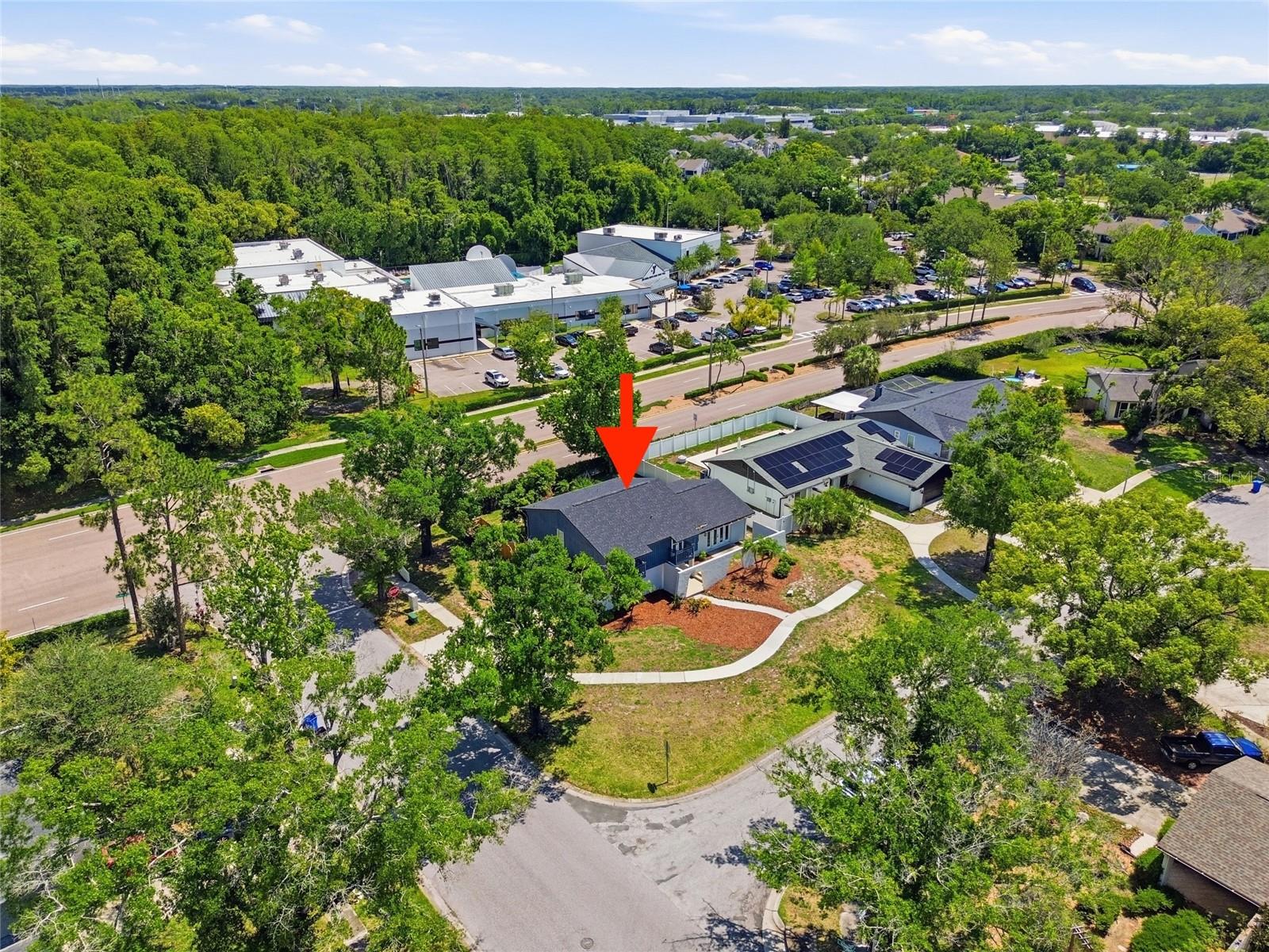 3909 WILLOWTREE PL, TAMPA, FL, 33624