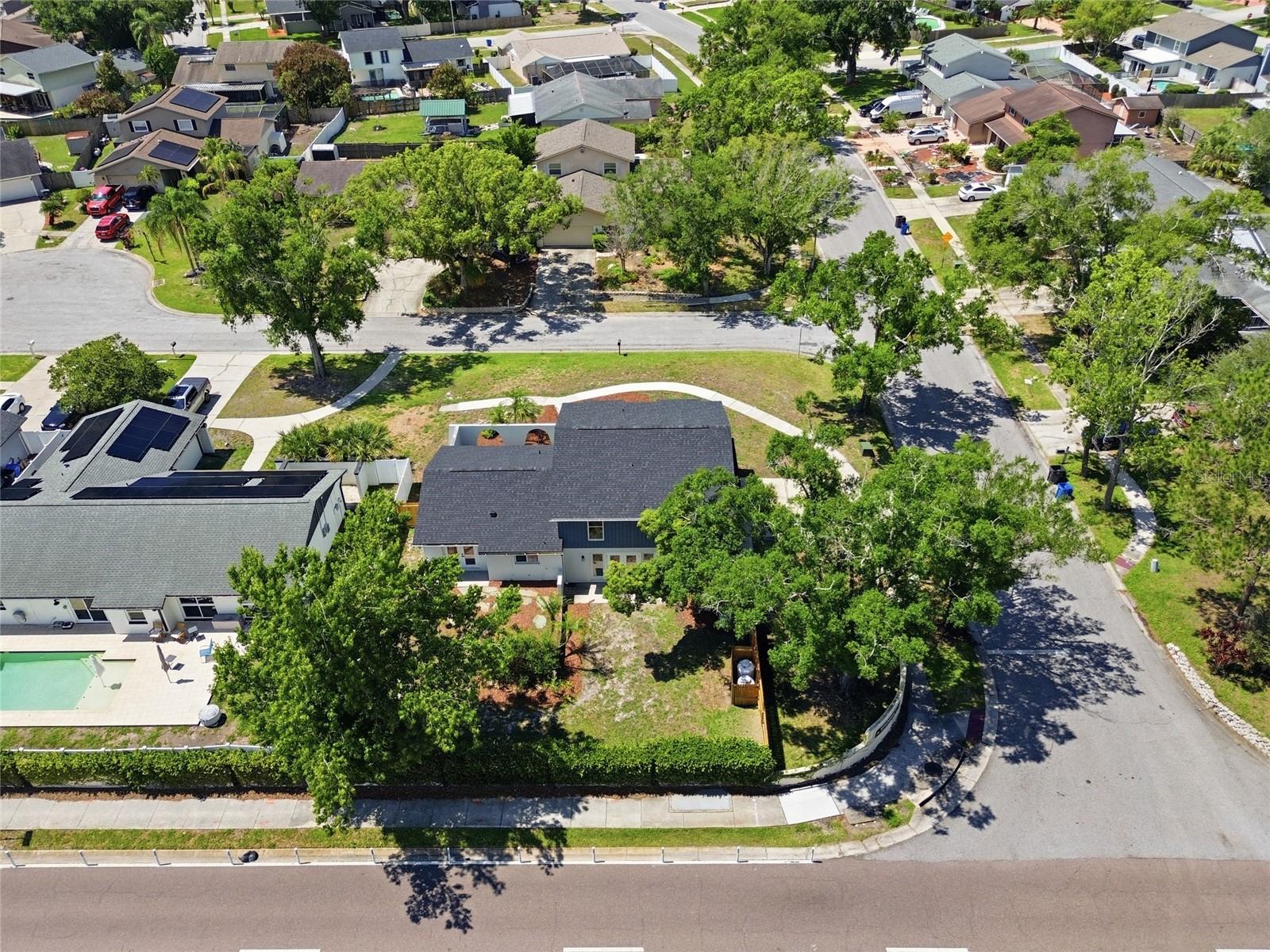 3909 WILLOWTREE PL, TAMPA, FL, 33624