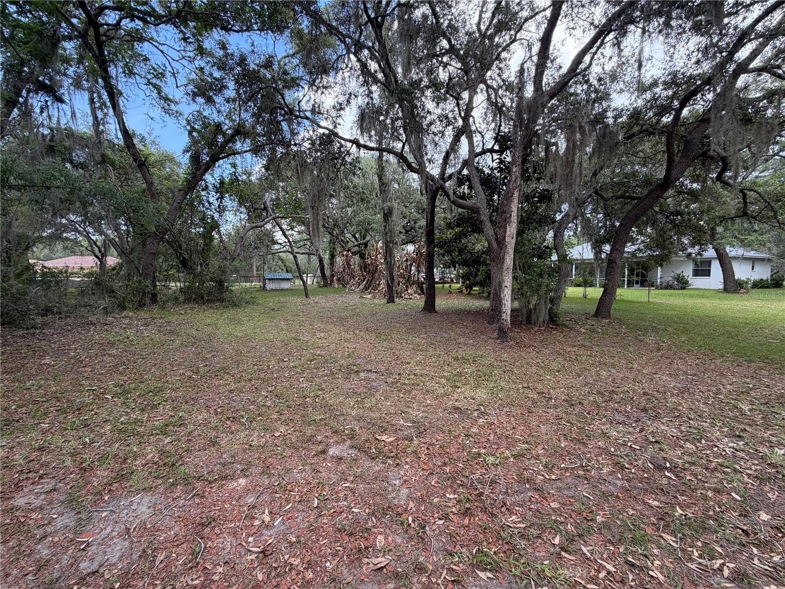 18749 LANSFORD DR, HUDSON, FL, 34667