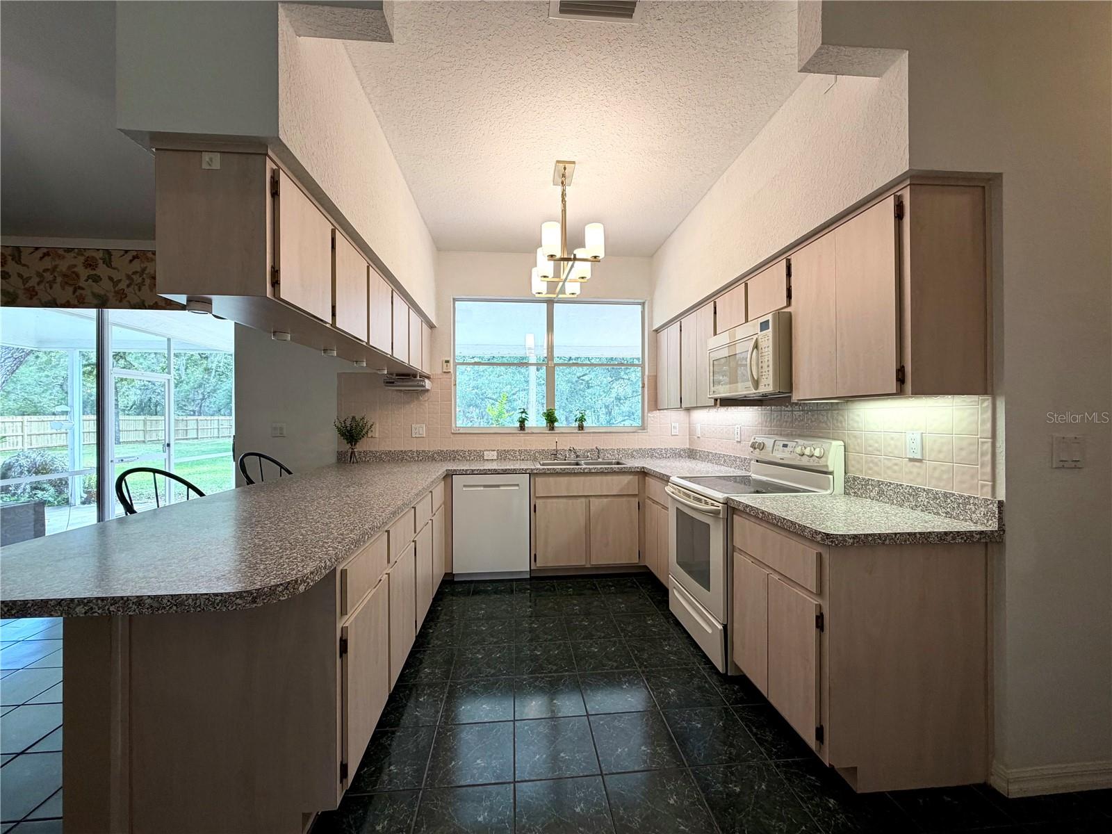 18749 LANSFORD DR, HUDSON, FL, 34667