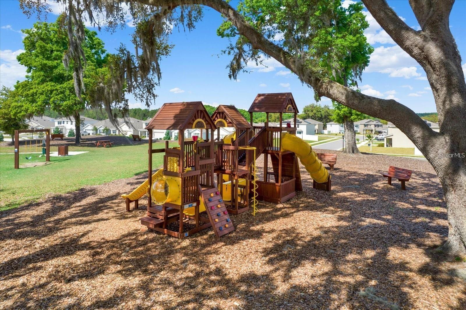 13688 WINEBERRY DR, DADE CITY, FL, 33525