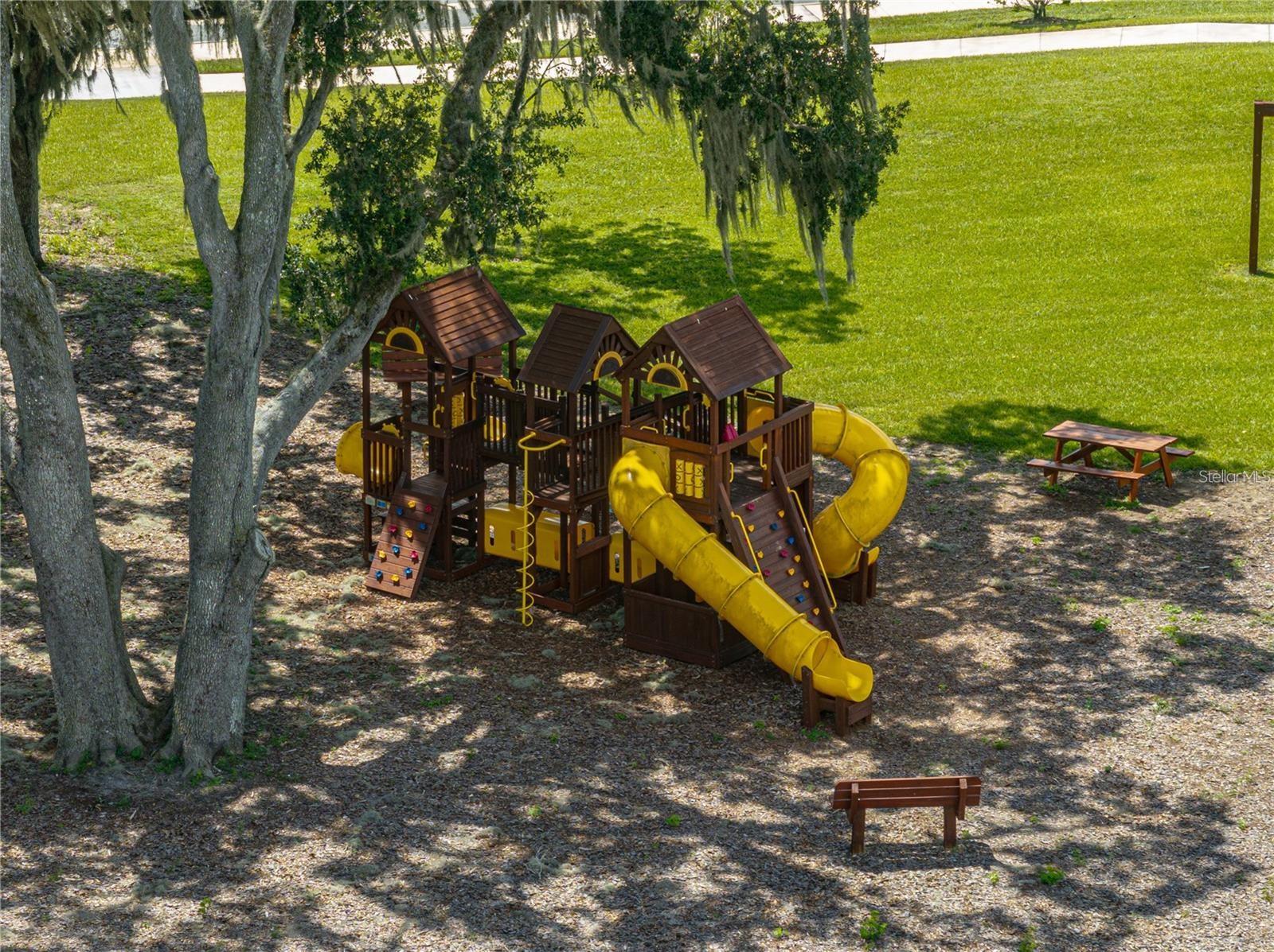 13688 WINEBERRY DR, DADE CITY, FL, 33525