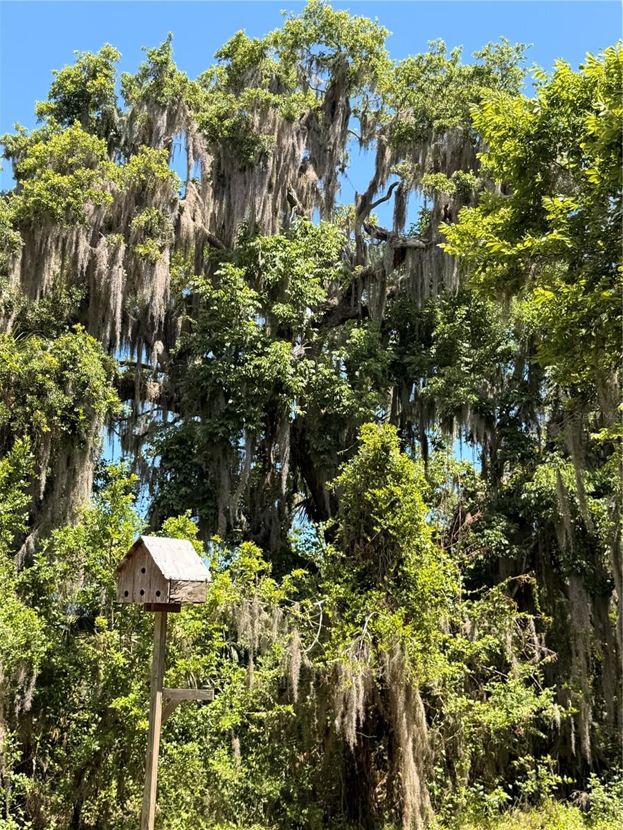 697 EAGLE WATCH RD, OAK HILL, FL, 32759