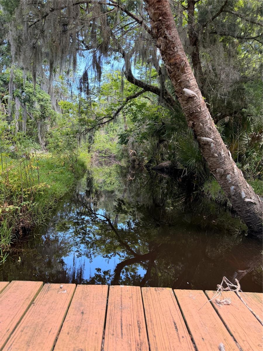 697 EAGLE WATCH RD, OAK HILL, FL, 32759