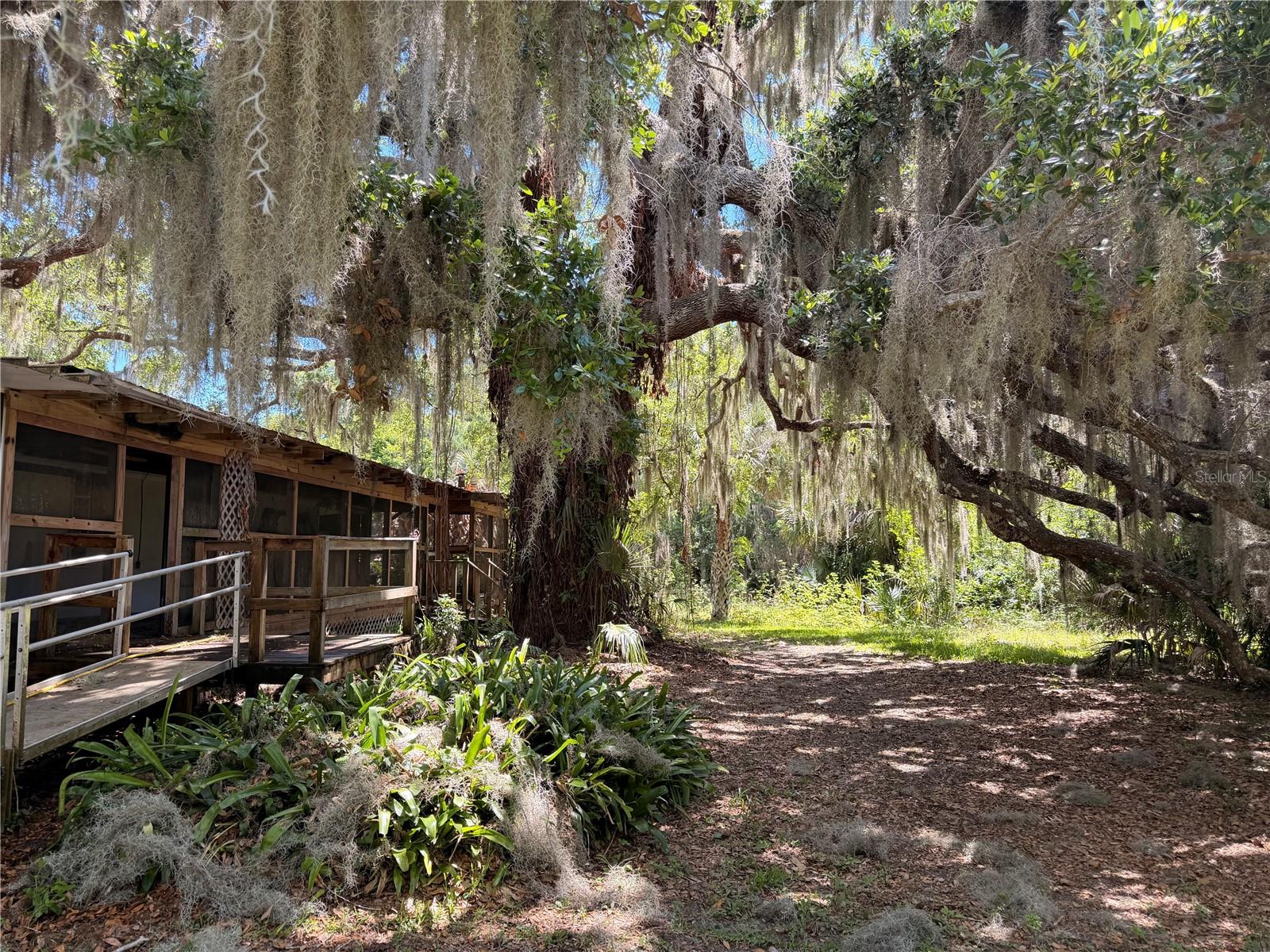 697 EAGLE WATCH RD, OAK HILL, FL, 32759