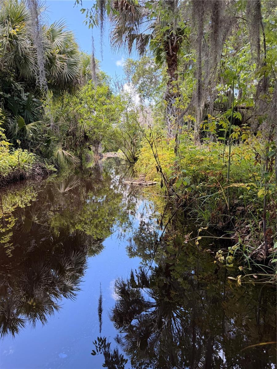 697 EAGLE WATCH RD, OAK HILL, FL, 32759