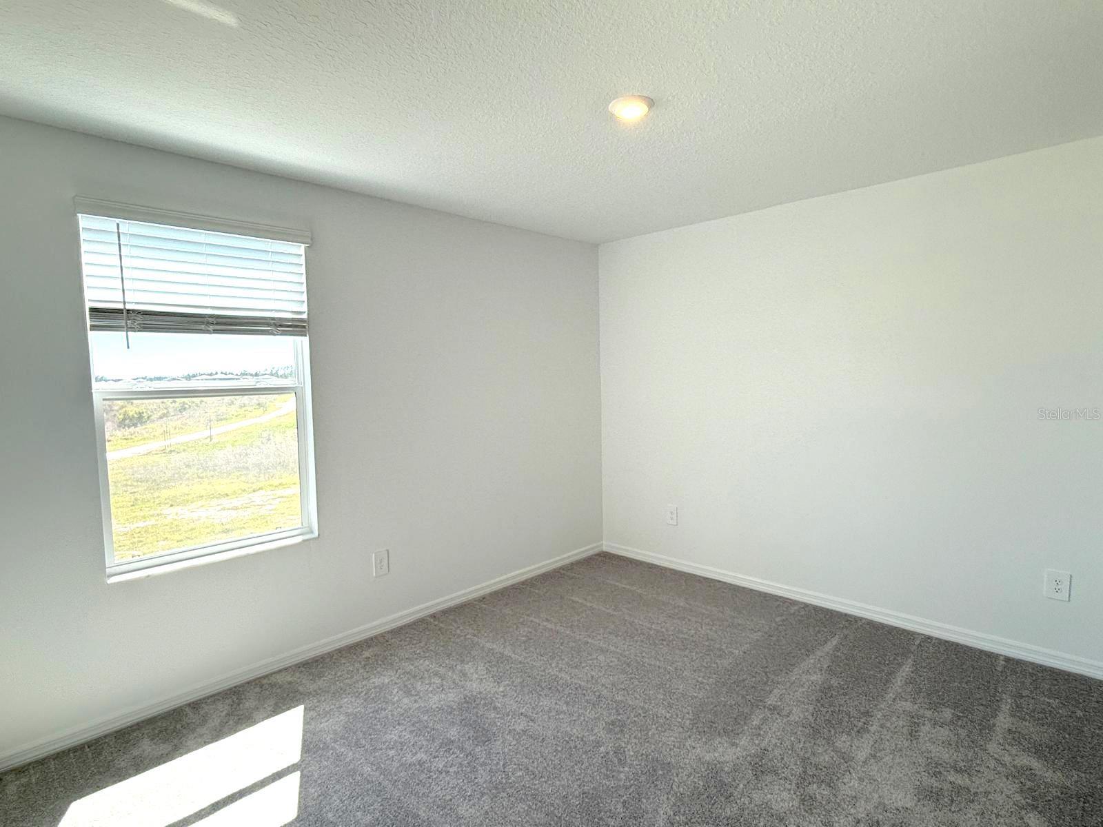 2081 HALLIER CV, WESLEY CHAPEL, FL, 33543