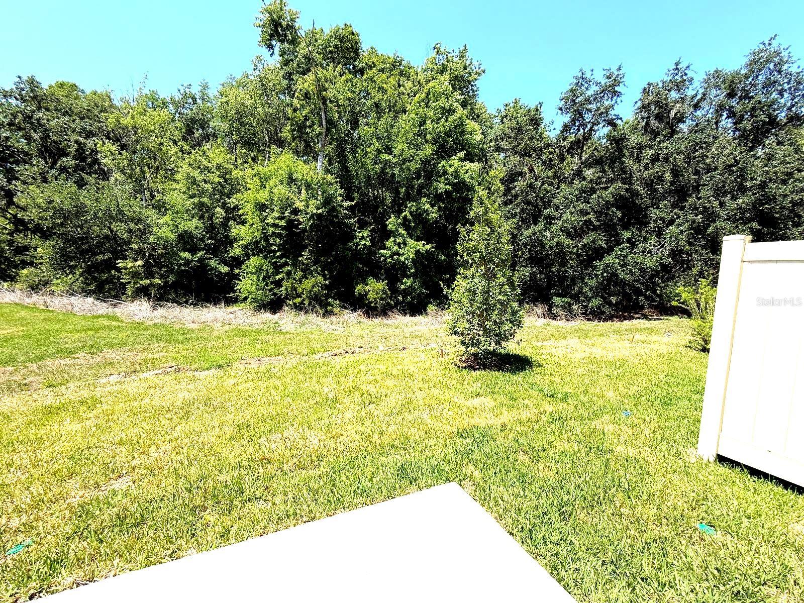 2081 HALLIER CV, WESLEY CHAPEL, FL, 33543