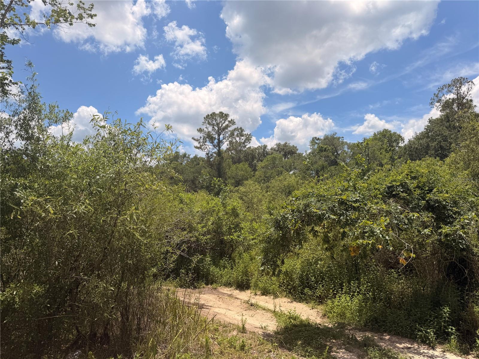 Lot 3 CHIPSTONE ST, WEBSTER, FL, 33597