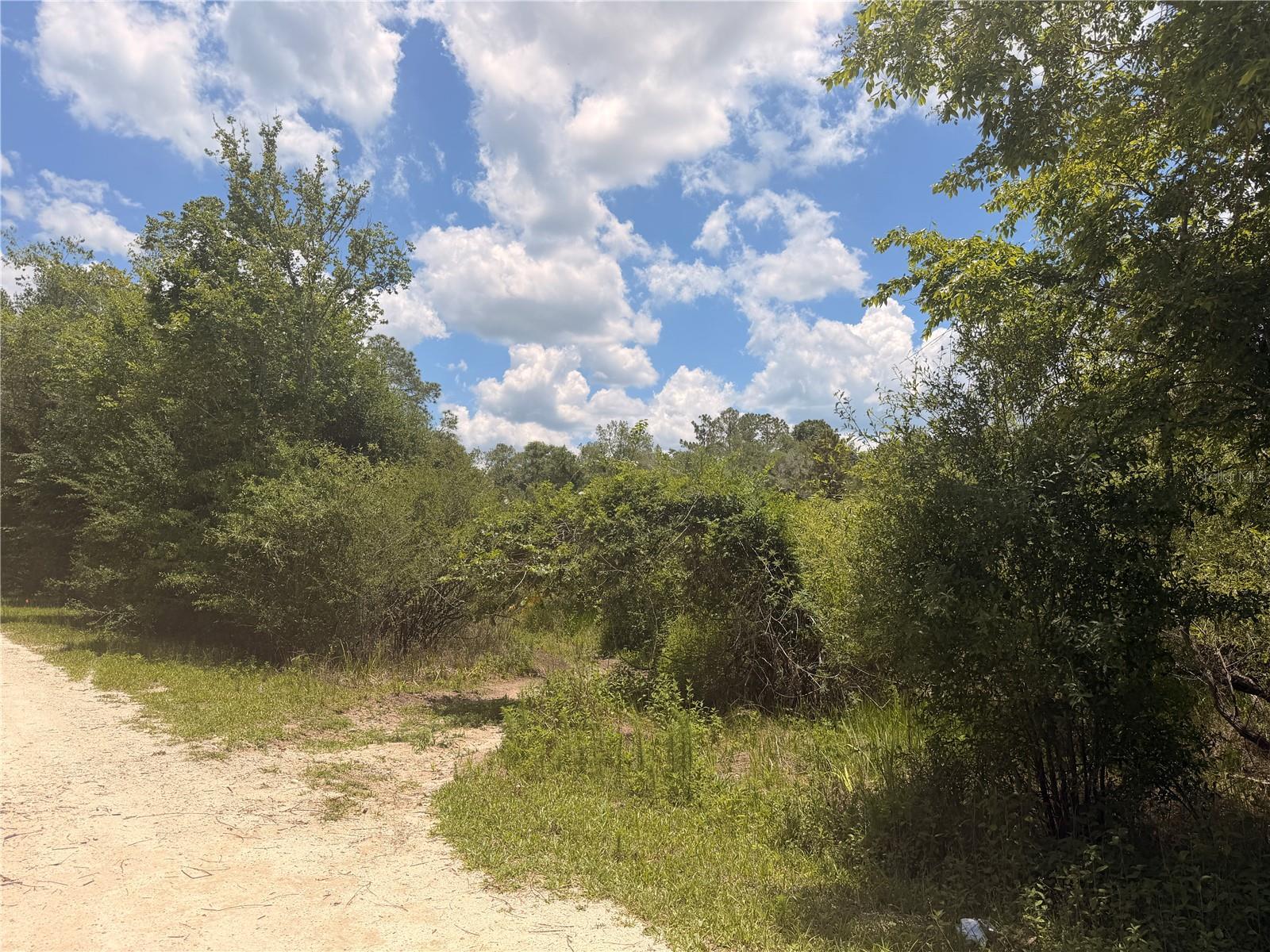 Lot 3 CHIPSTONE ST, WEBSTER, FL, 33597