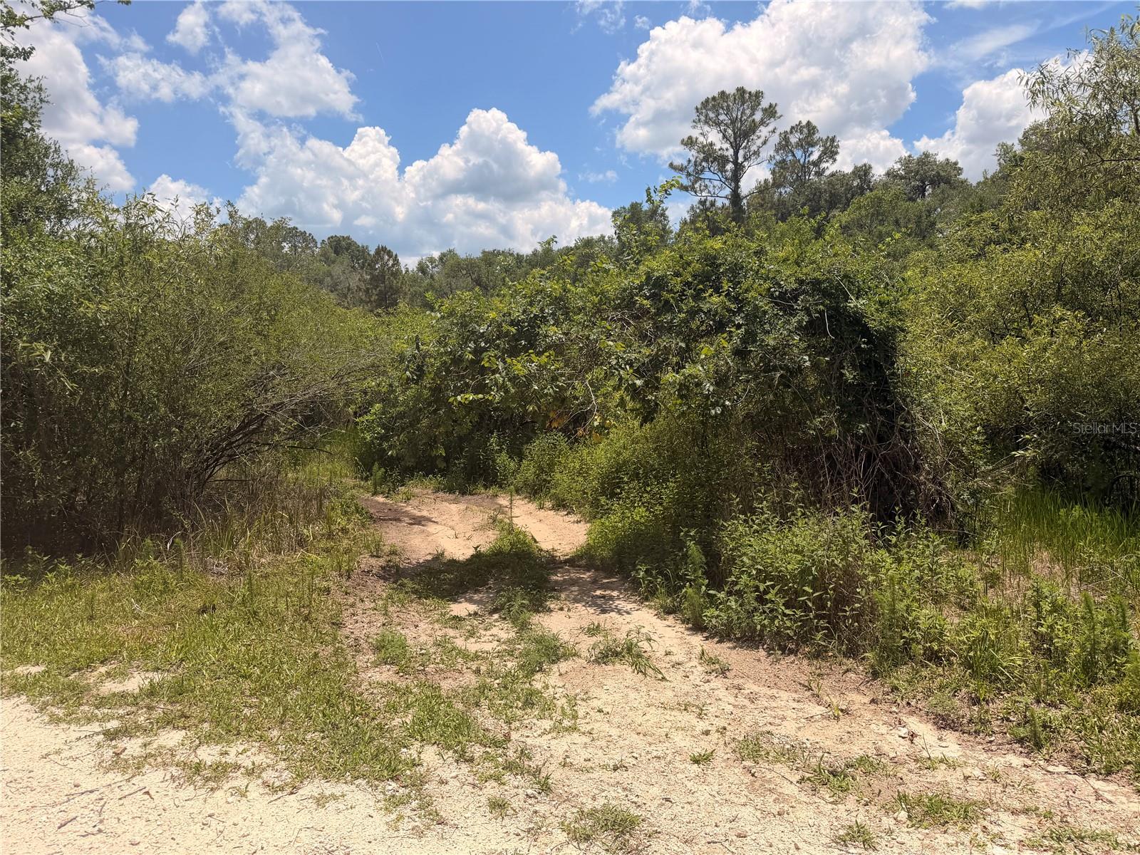 Lot 3 CHIPSTONE ST, WEBSTER, FL, 33597