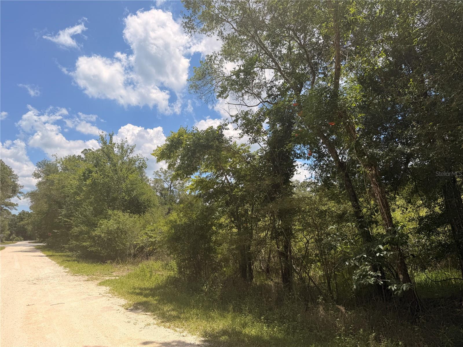 Lot 3 CHIPSTONE ST, WEBSTER, FL, 33597