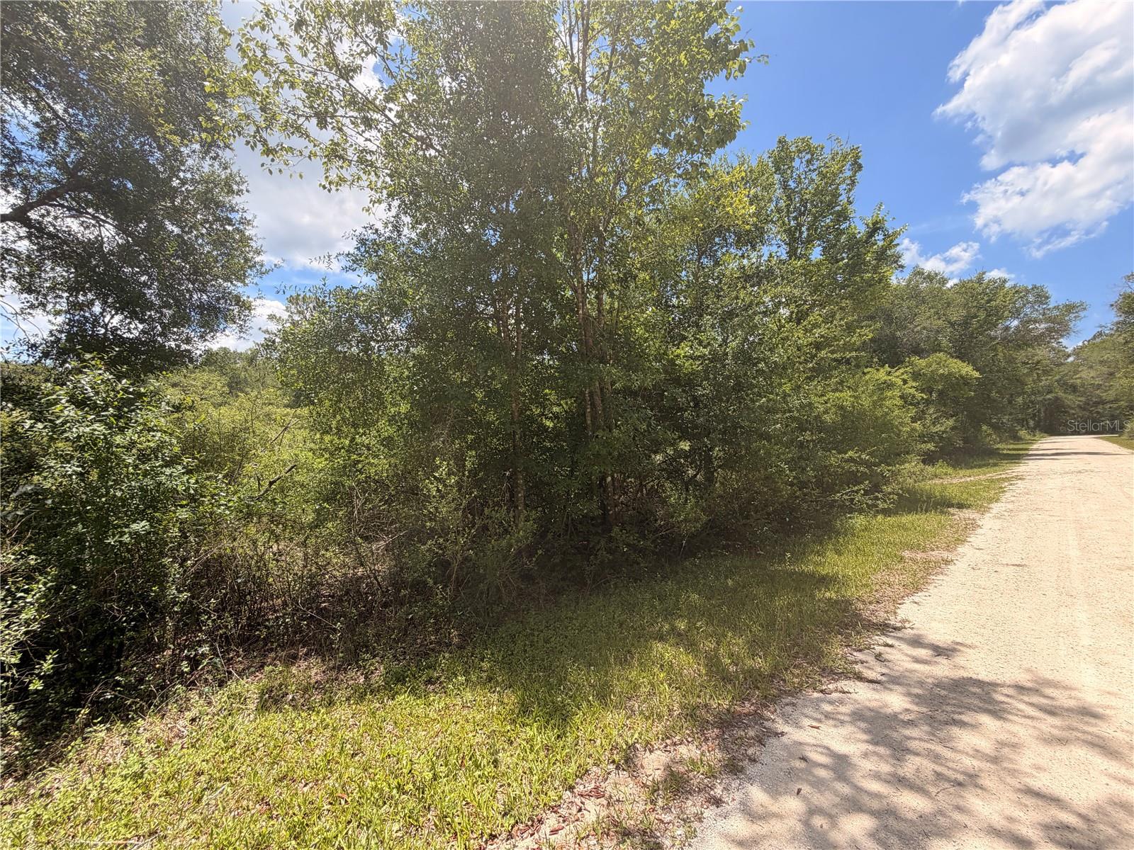 Lot 3 CHIPSTONE ST, WEBSTER, FL, 33597