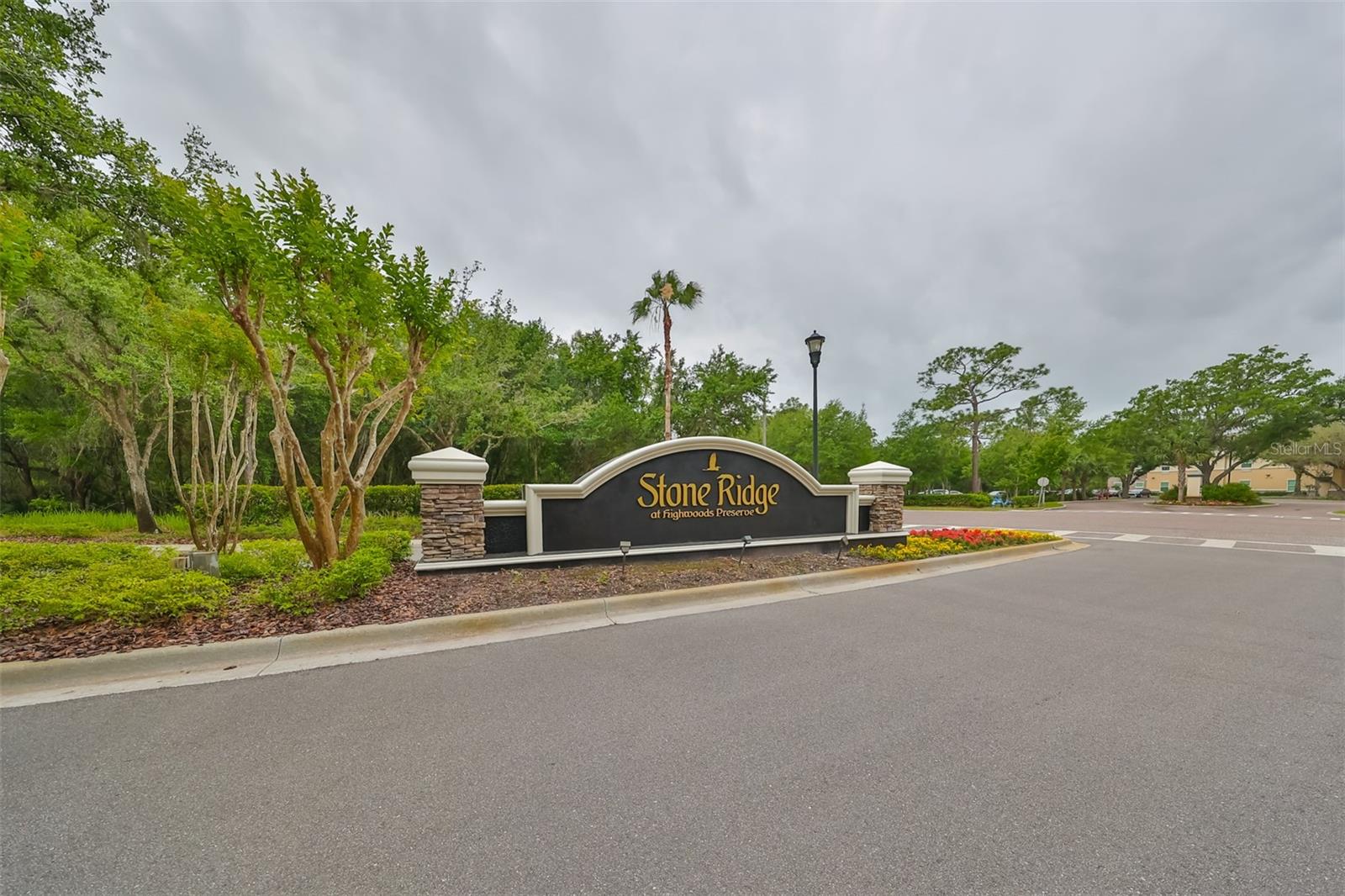 8155 STONE LEAF LN, TAMPA, FL, 33647