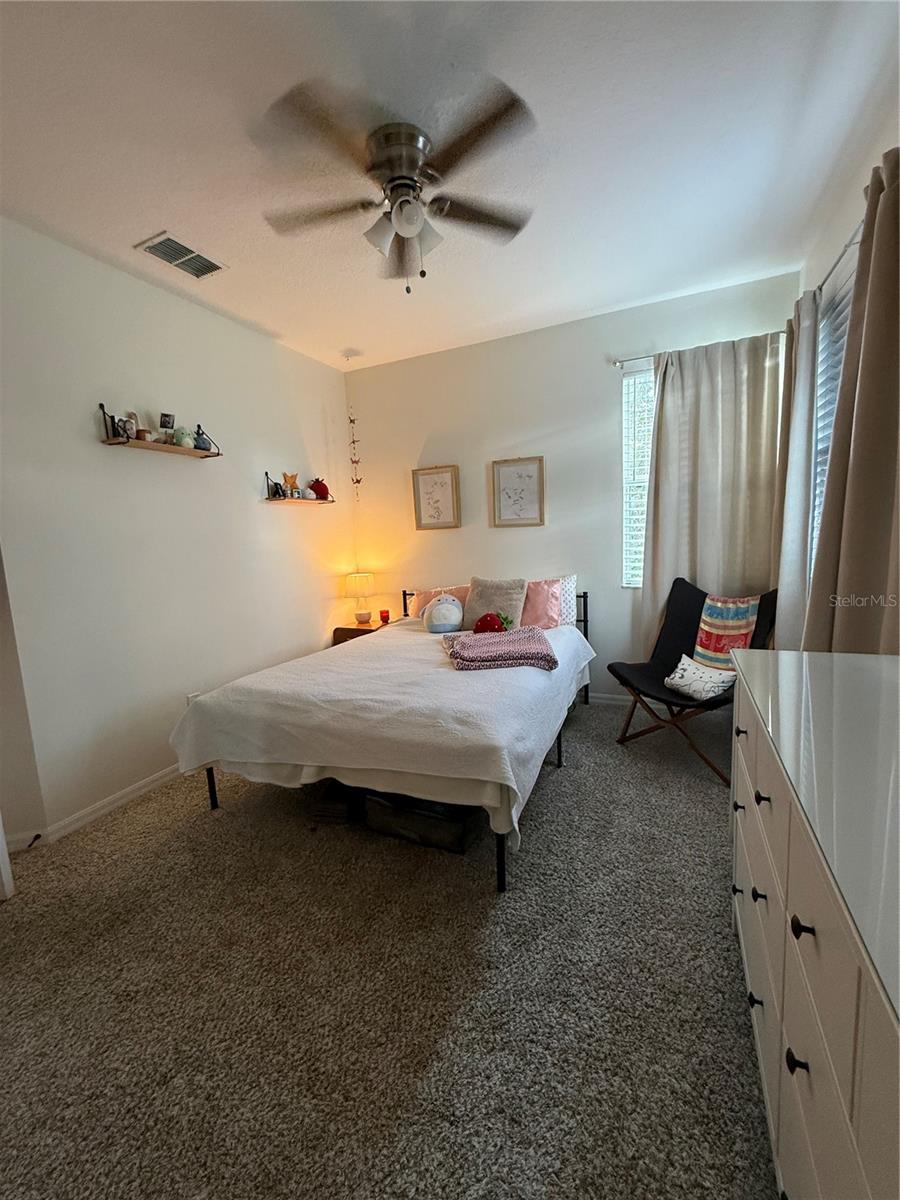 8155 STONE LEAF LN, TAMPA, FL, 33647