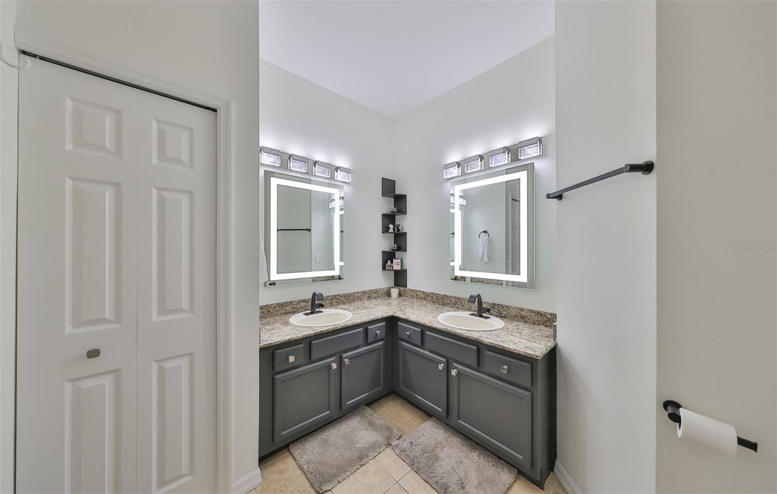 8155 STONE LEAF LN, TAMPA, FL, 33647