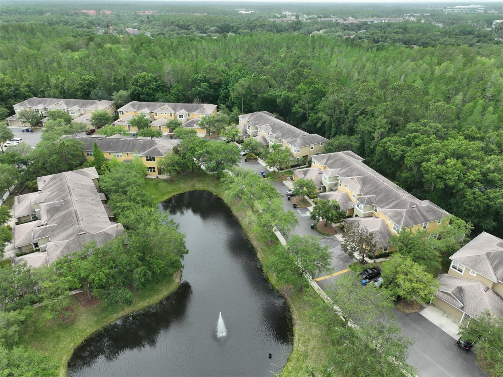8155 STONE LEAF LN, TAMPA, FL, 33647