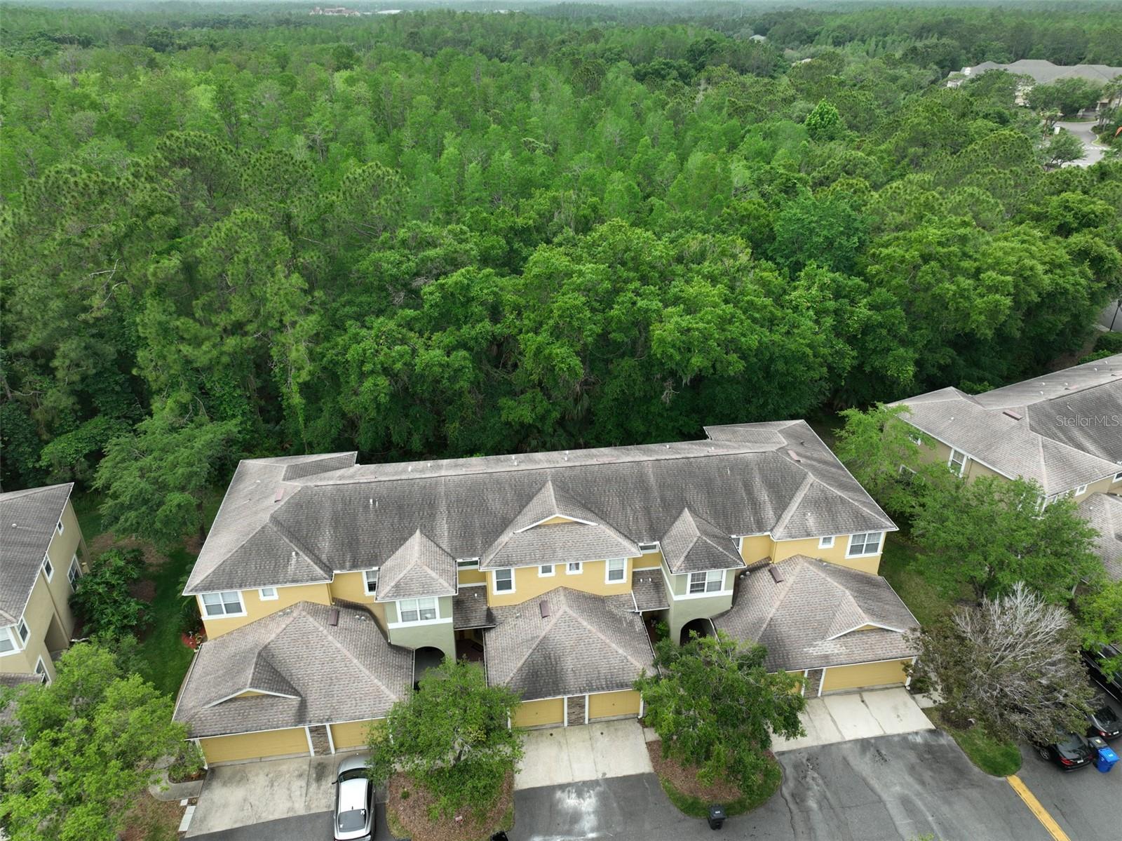 8155 STONE LEAF LN, TAMPA, FL, 33647