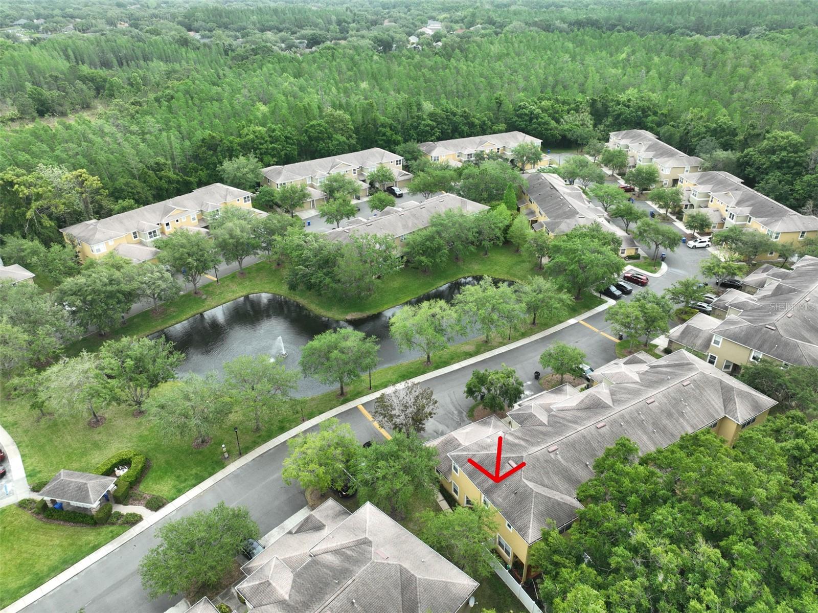 8155 STONE LEAF LN, TAMPA, FL, 33647