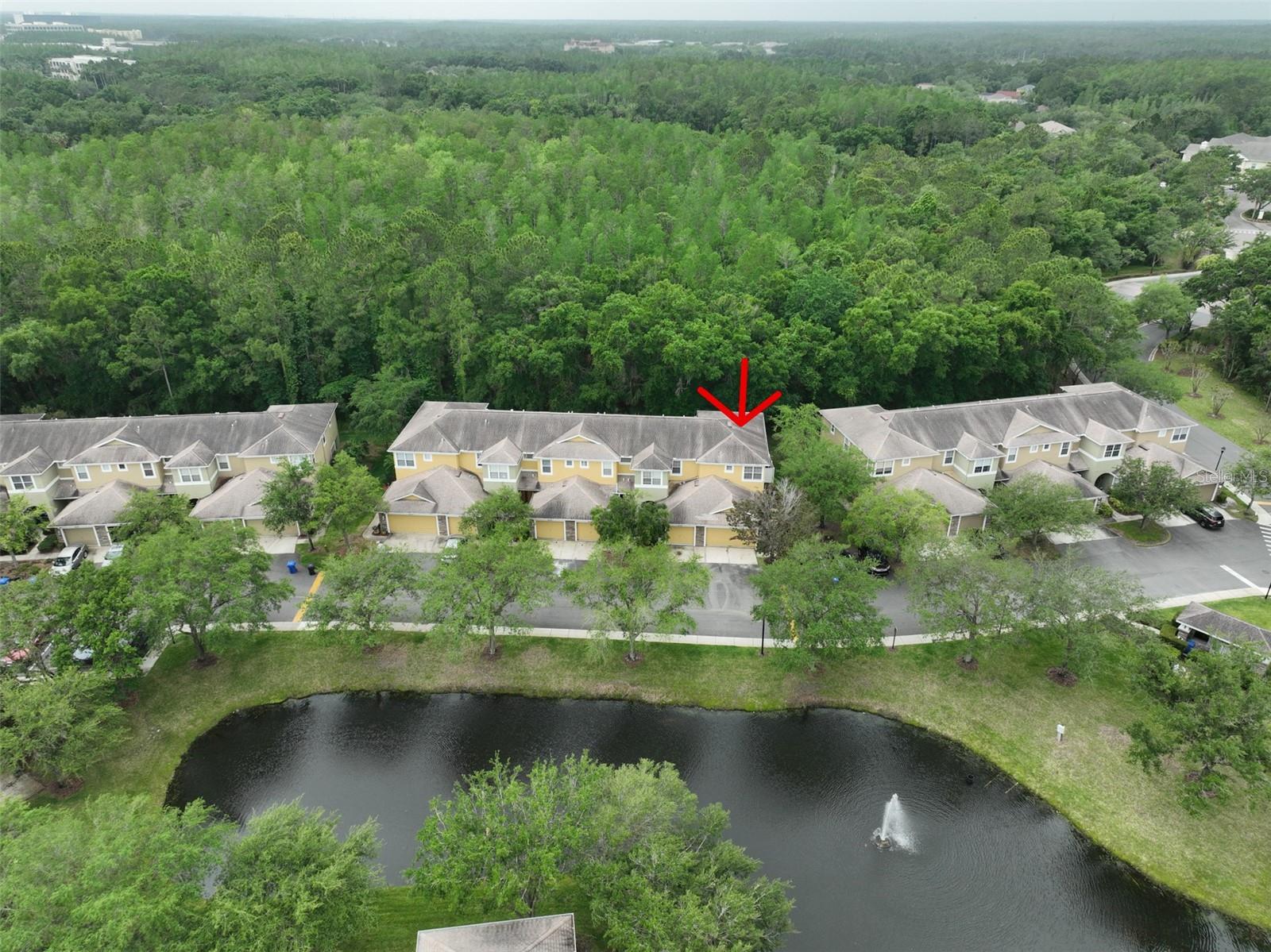 8155 STONE LEAF LN, TAMPA, FL, 33647
