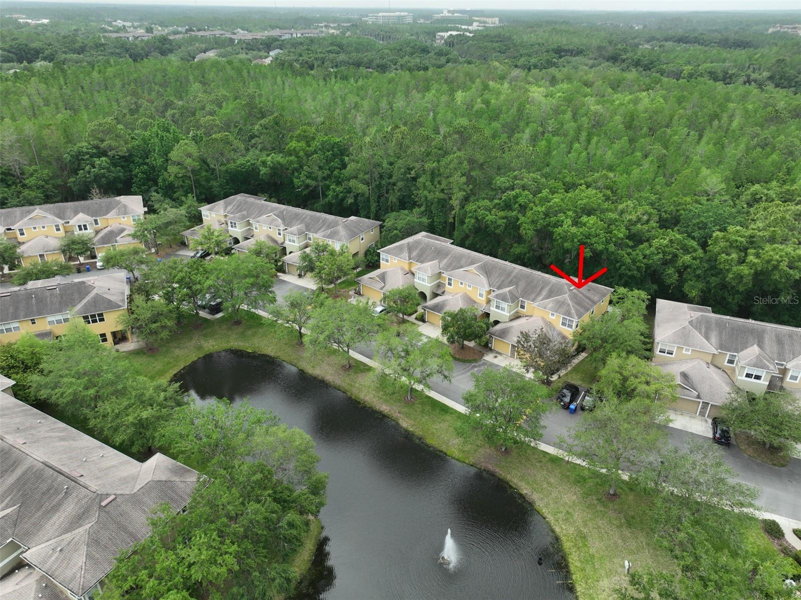 8155 STONE LEAF LN, TAMPA, FL, 33647