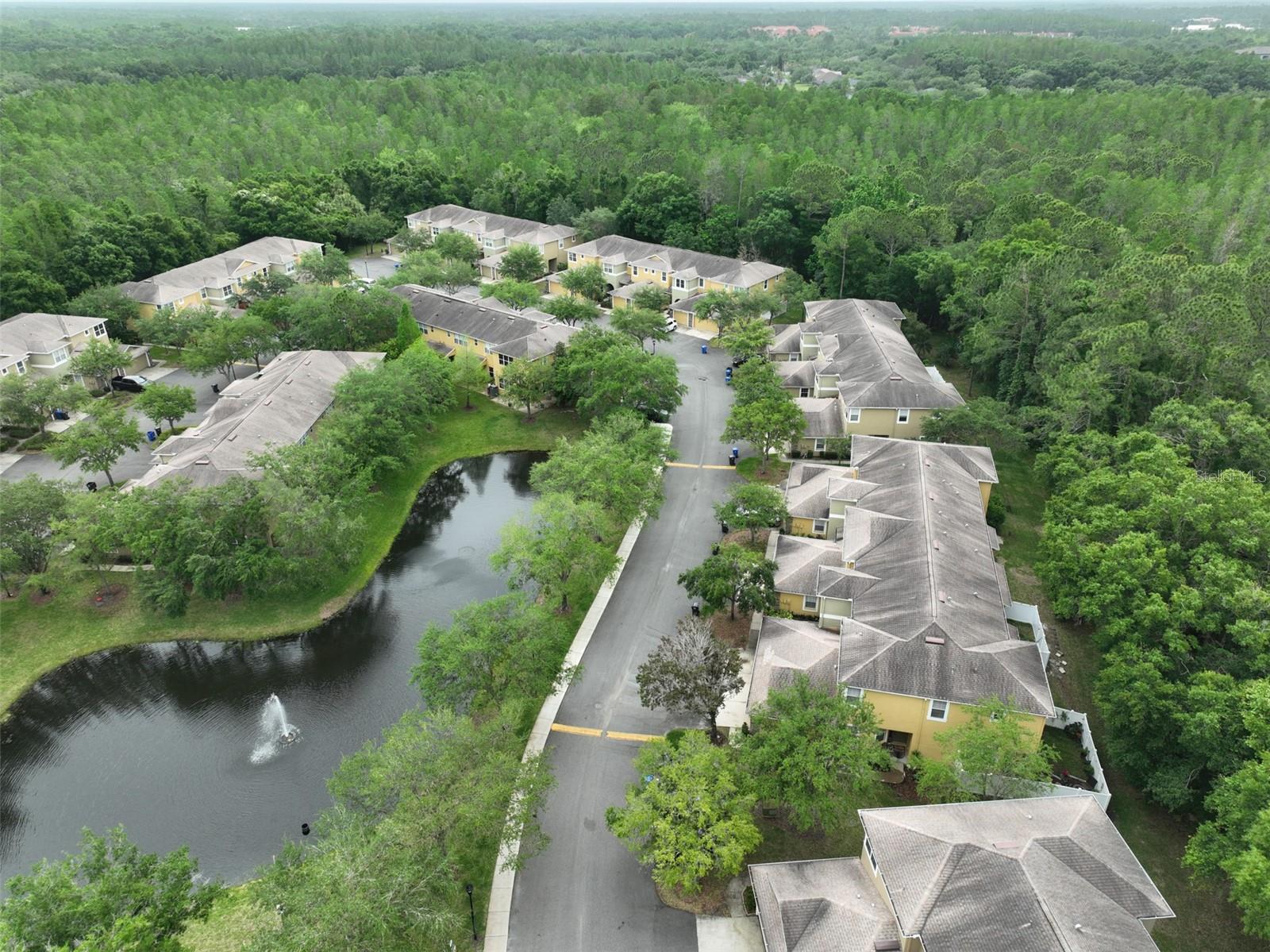8155 STONE LEAF LN, TAMPA, FL, 33647