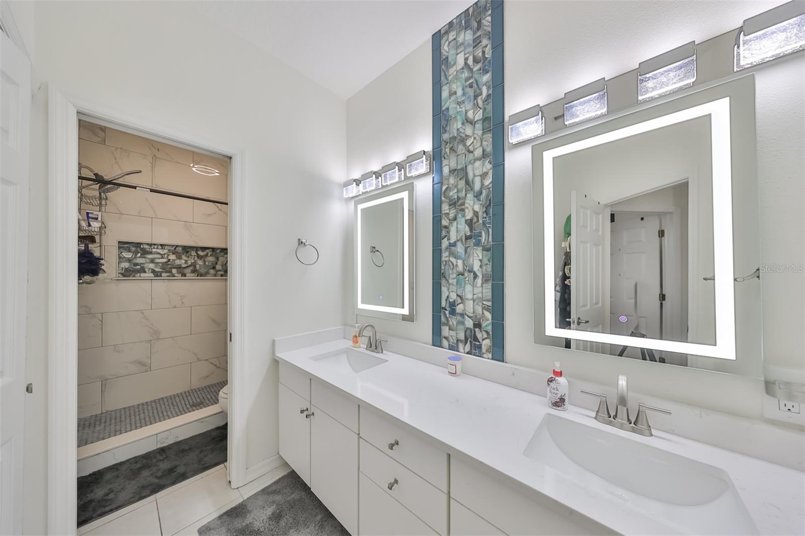 8155 STONE LEAF LN, TAMPA, FL, 33647
