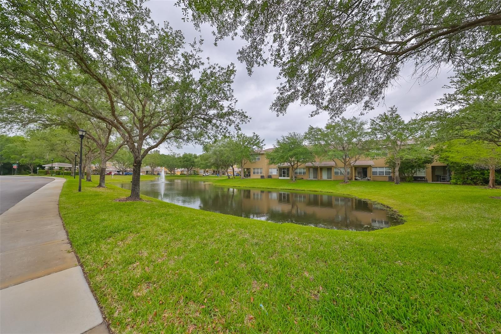 8155 STONE LEAF LN, TAMPA, FL, 33647