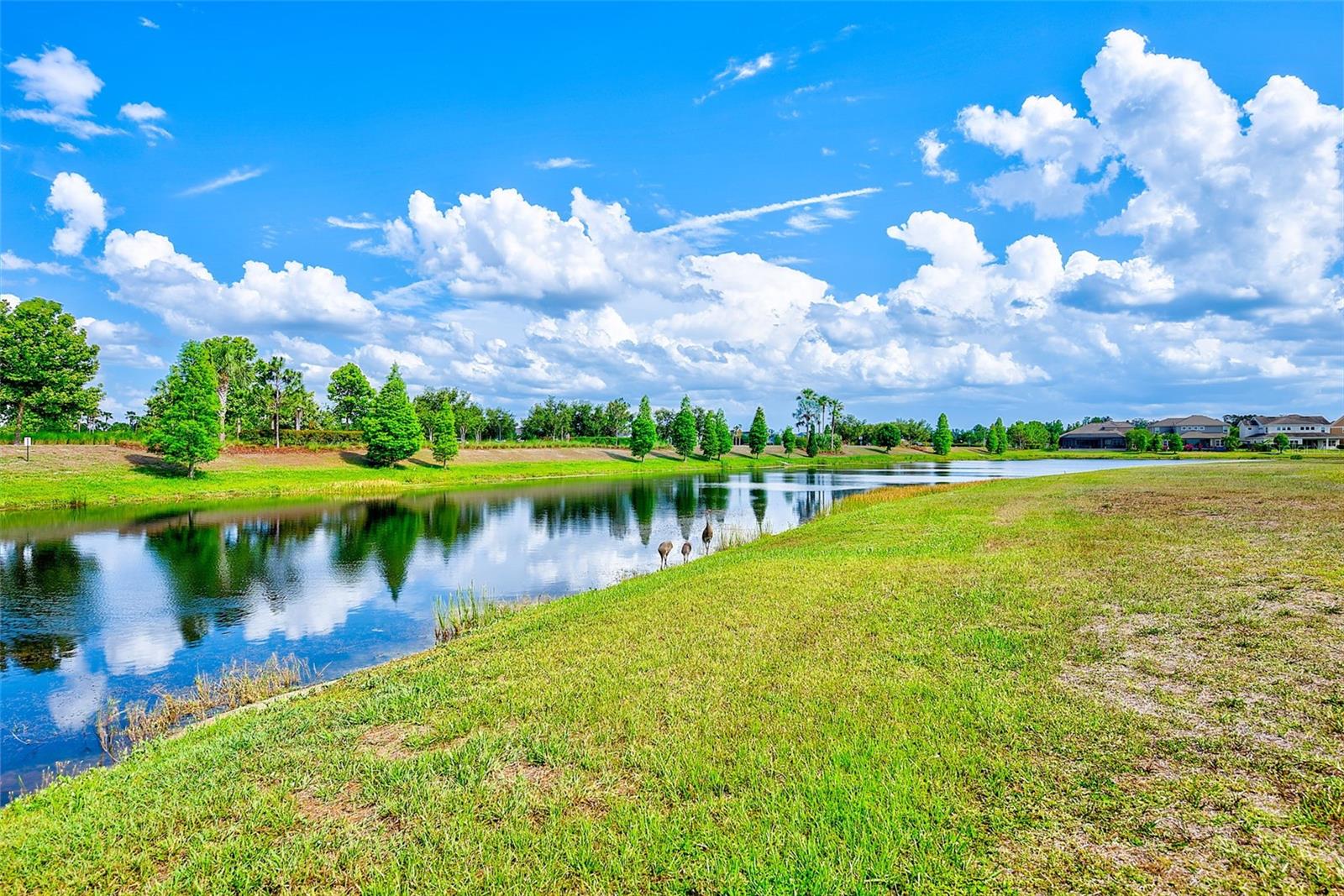 6951 CRESTPOINT DR, APOLLO BEACH, FL, 33572