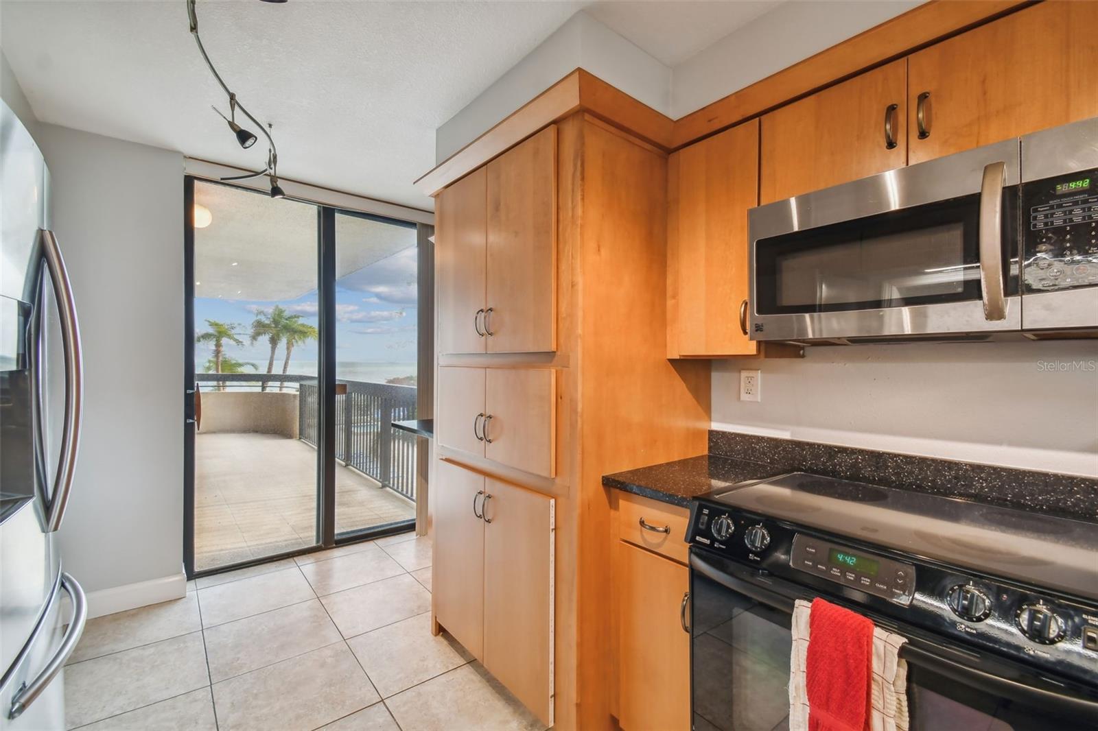 2413 BAYSHORE BLVD #202, TAMPA, FL, 33629