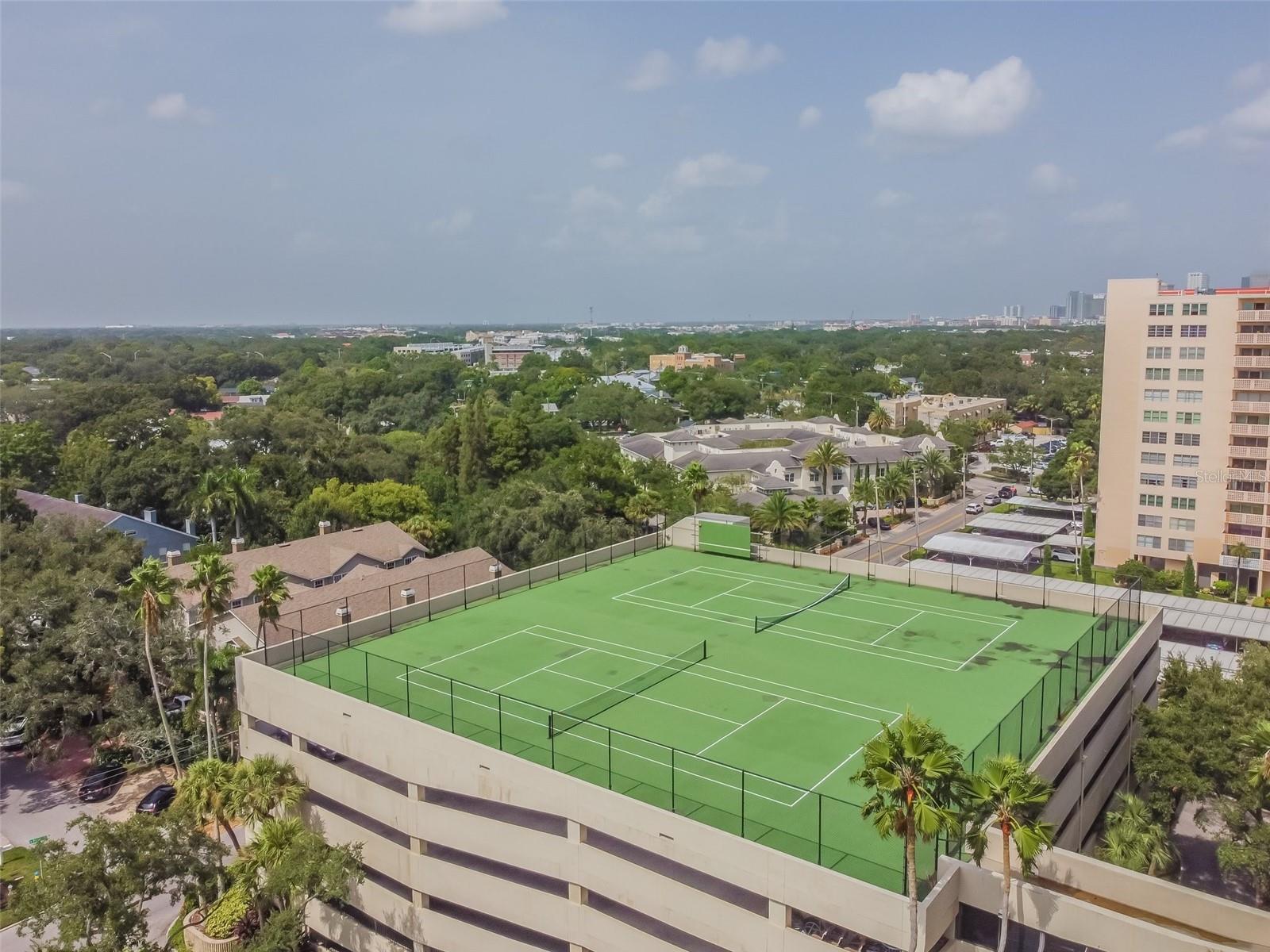 2413 BAYSHORE BLVD #202, TAMPA, FL, 33629