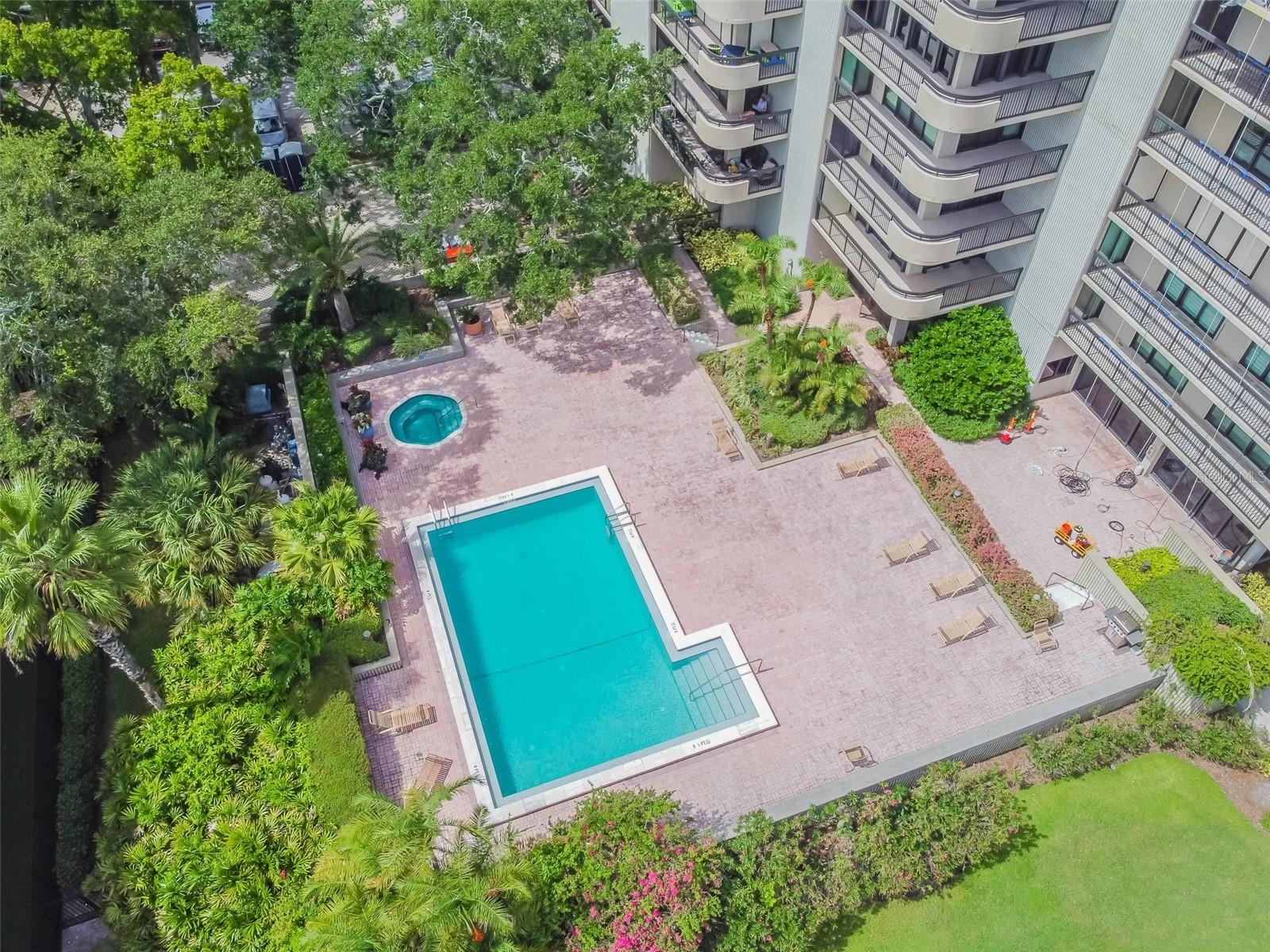 2413 BAYSHORE BLVD #202, TAMPA, FL, 33629