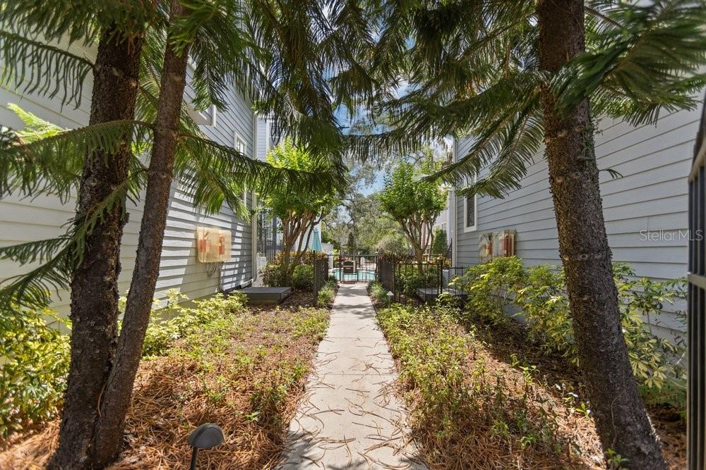 919 S ROME AVE #8, TAMPA, FL, 33606