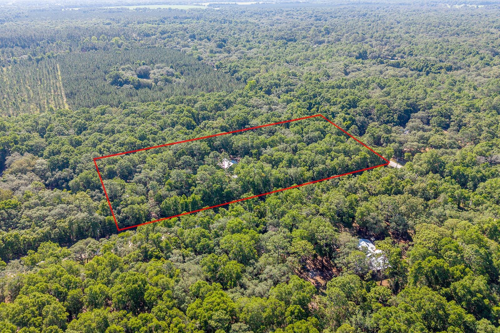 13291 NW 86TH AVE, CHIEFLAND, FL, 32626