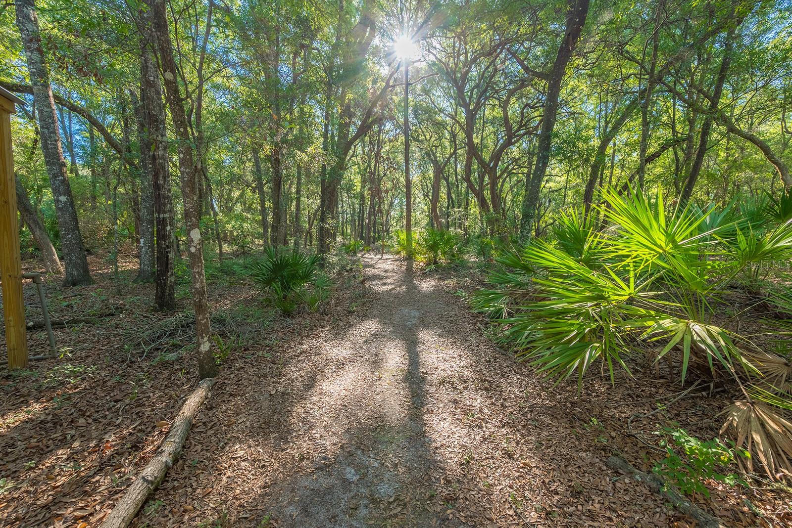 13291 NW 86TH AVE, CHIEFLAND, FL, 32626